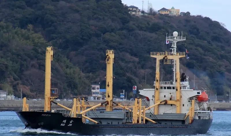 FORTUNE LIFE General Cargo IMO 9041722 photo 7