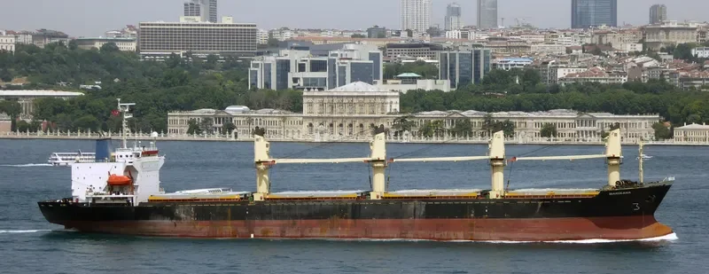 MARIA Bulk Carrier IMO 9041772 photo 8