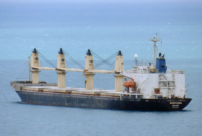MARIA Bulk Carrier IMO 9041772 photo 9