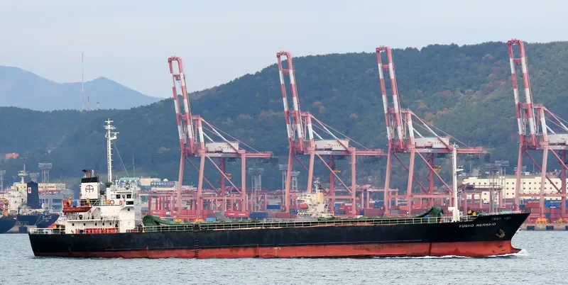 SF DILIGENCE General Cargo IMO 9041904 photo 7