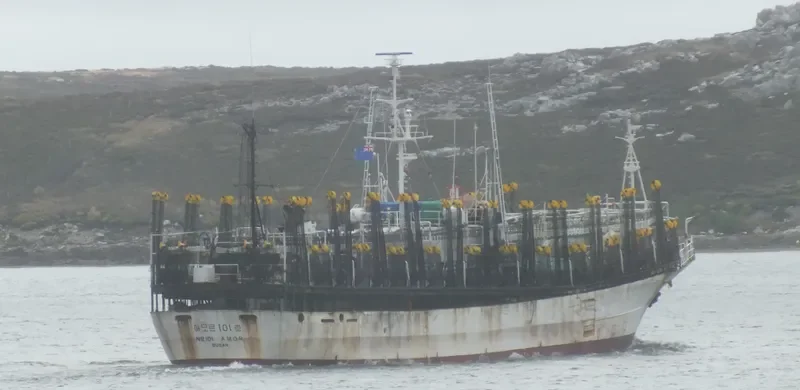 SAEIN NO.1 General Cargo IMO 9041992 photo 2