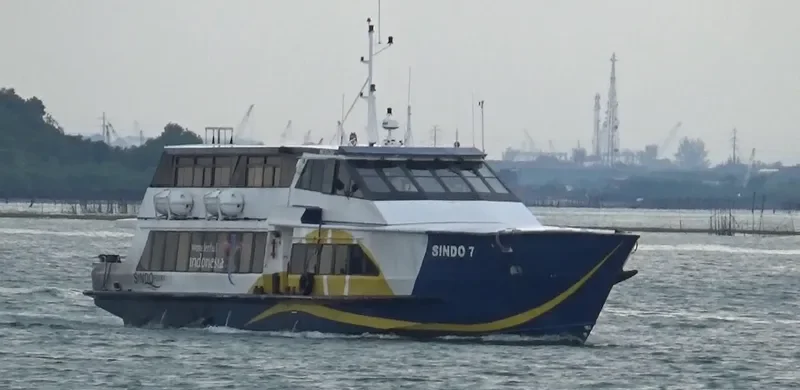SINDO 7 Ro-Ro IMO 9042166 photo 6