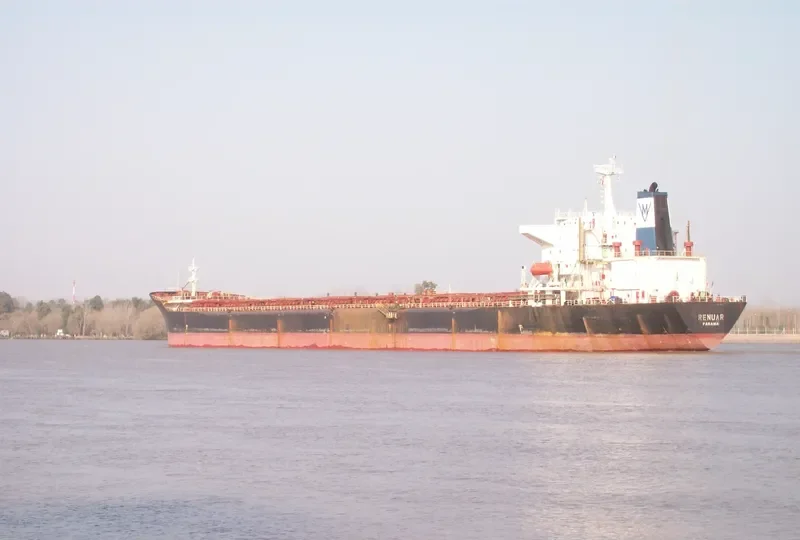 RENUAR Bulk Carrier IMO 9042221 photo 2