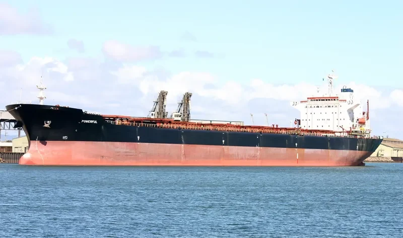STAR JULIA Bulk Carrier IMO 9042233 photo 5