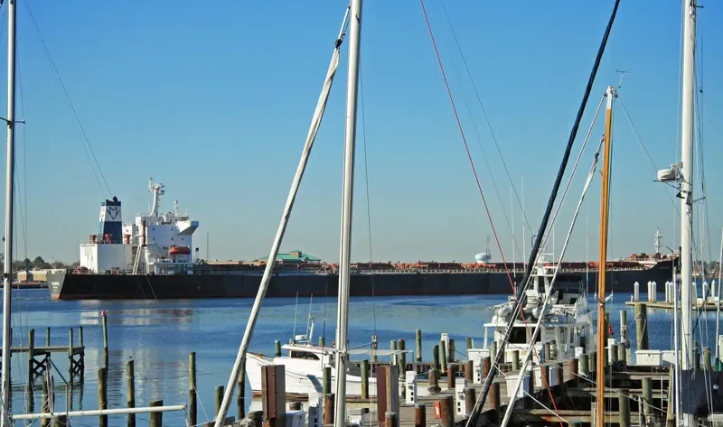 STAR JULIA Bulk Carrier IMO 9042233 photo 7