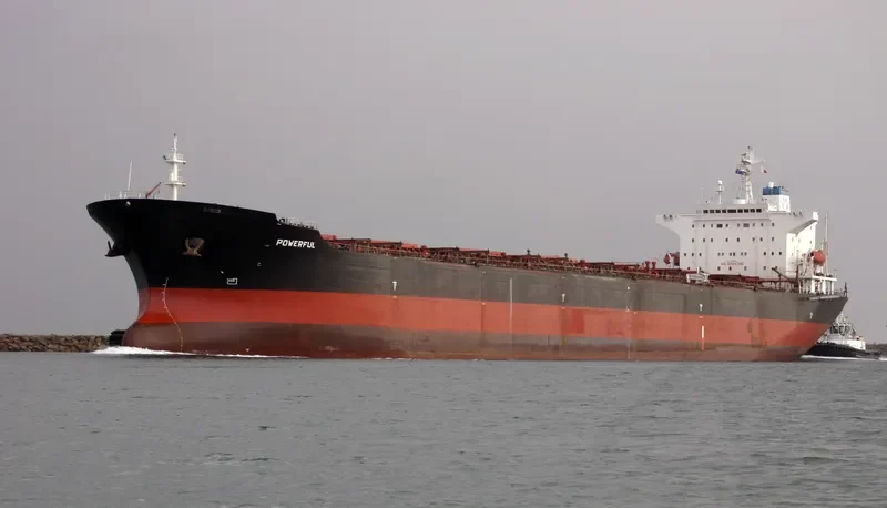 STAR JULIA Bulk Carrier IMO 9042233 photo 8