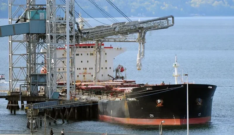STAR JULIA Bulk Carrier IMO 9042233 photo 10