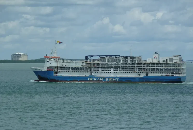 BARKLY PEARL General Cargo IMO 9042295 photo 6