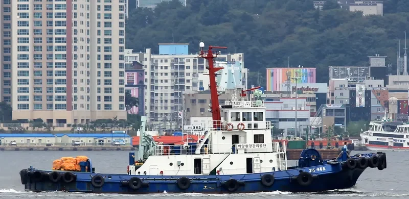 NO.315 DAE RYONG General Cargo IMO 9042489