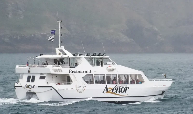 AZENOR Passenger Ship IMO 9042611 photo 2