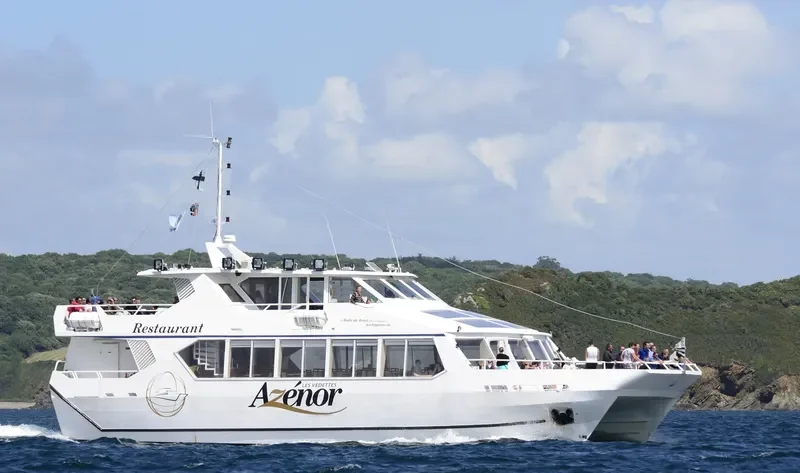 AZENOR Passenger Ship IMO 9042611 photo 4