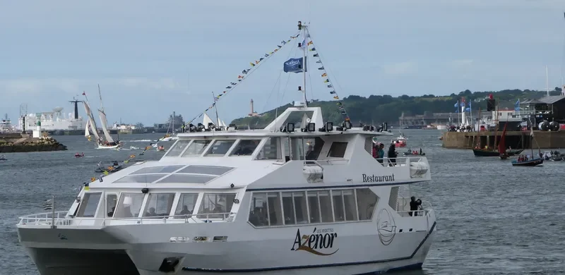AZENOR Passenger Ship IMO 9042611 photo 7