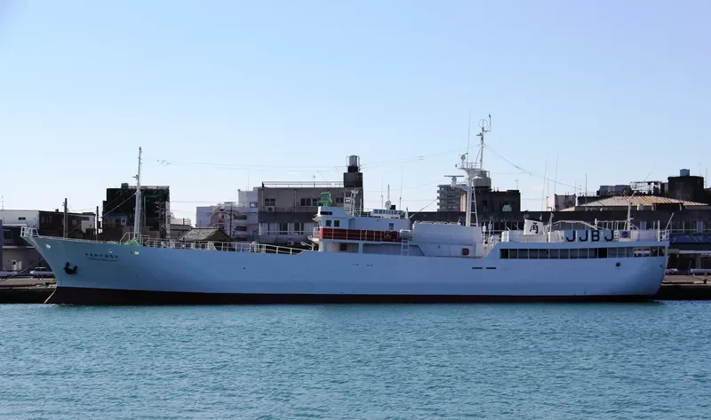 FUKURYU MARU NO.21 General Cargo IMO 9042740
