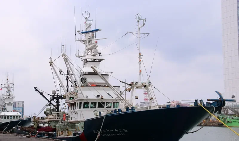 TAIYOU MARU NO.21 General Cargo IMO 9042776 photo 2