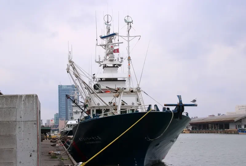 TAIYOU MARU NO.21 General Cargo IMO 9042776 photo 3