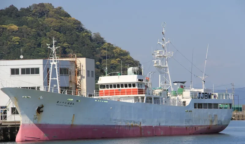 MYS URUMPET General Cargo IMO 9042908 photo 2