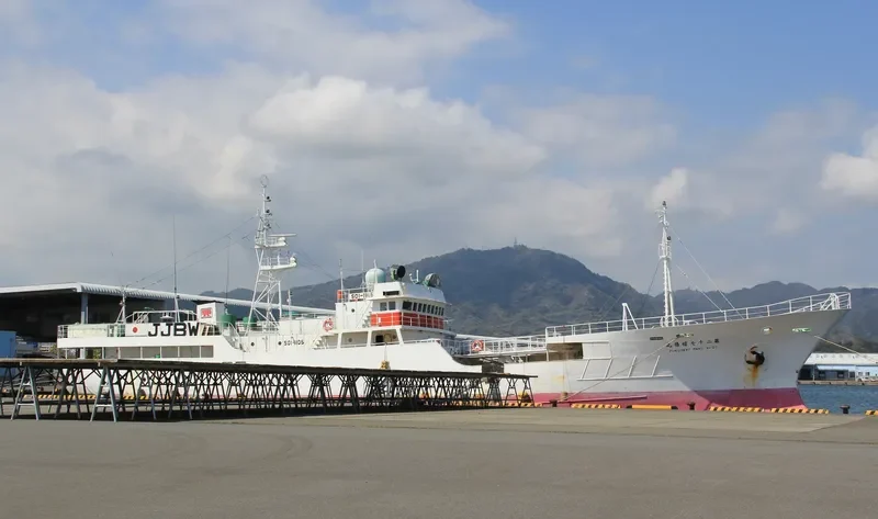 MYS URUMPET General Cargo IMO 9042908 photo 3
