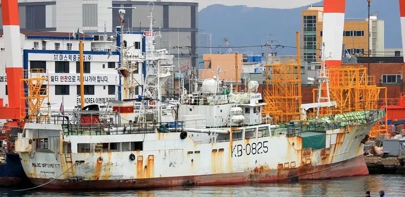 MYS URUMPET General Cargo IMO 9042908 photo 5