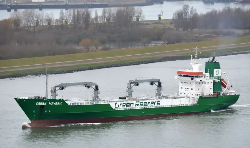 GREEN MAVERIC General Cargo IMO 9043055 photo 10