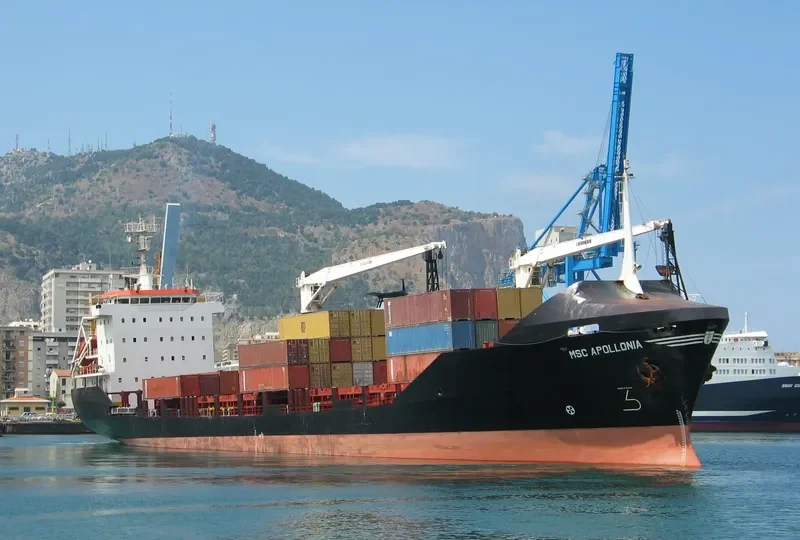GOLDEN ENDURANCE General Cargo IMO 9043110 photo 3