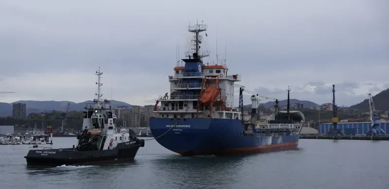 GOLDEN ENDURANCE General Cargo IMO 9043110 photo 7