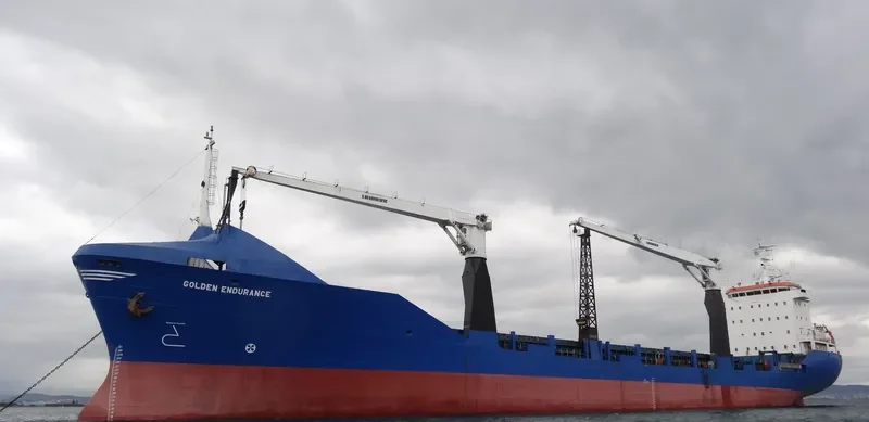 GOLDEN ENDURANCE General Cargo IMO 9043110 photo 8