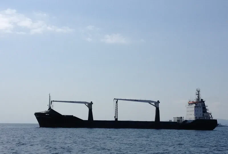 GOLDEN ENDURANCE General Cargo IMO 9043110 photo 9