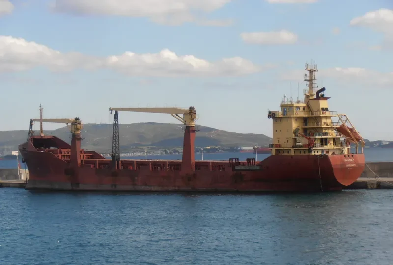 PROSPERITY General Cargo IMO 9043122 photo 6