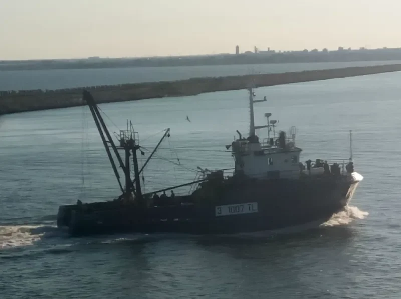FLAMINGO 4 General Cargo IMO 9043249