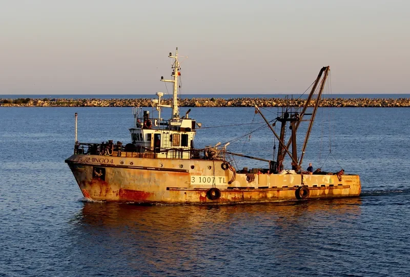 FLAMINGO 4 General Cargo IMO 9043249 photo 2
