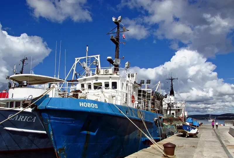 HOBOS General Cargo IMO 9043251