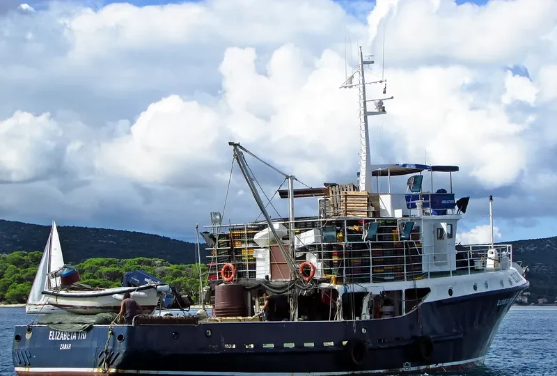 ELIZABETA TRI General Cargo IMO 9043263 photo 5