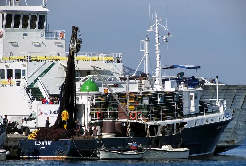 ELIZABETA TRI General Cargo IMO 9043263 photo 9