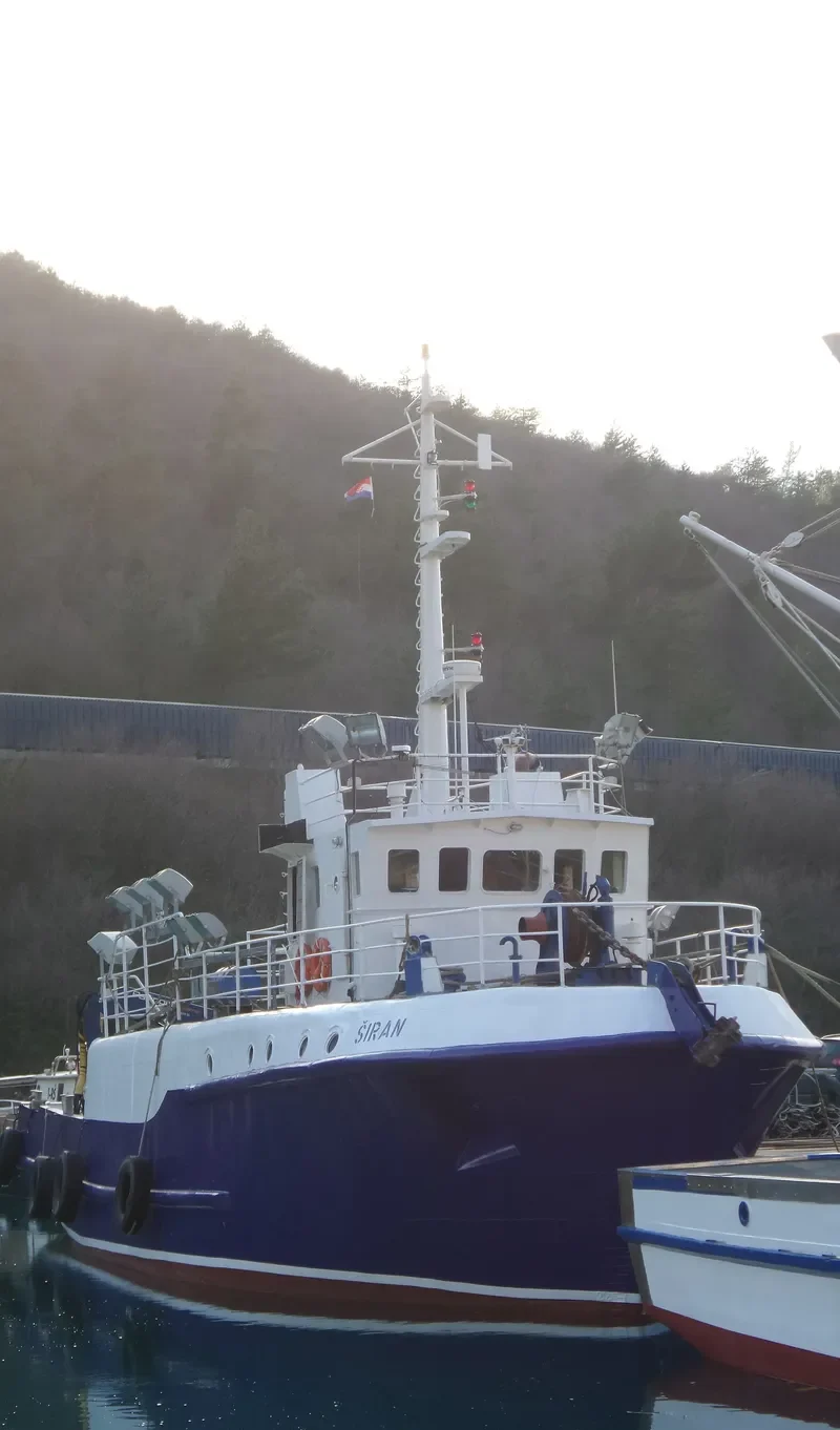SIRAN General Cargo IMO 9043275 photo 5