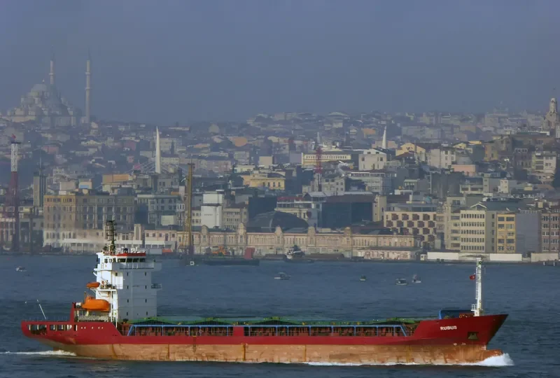 RUBUS General Cargo IMO 9043380 photo 10