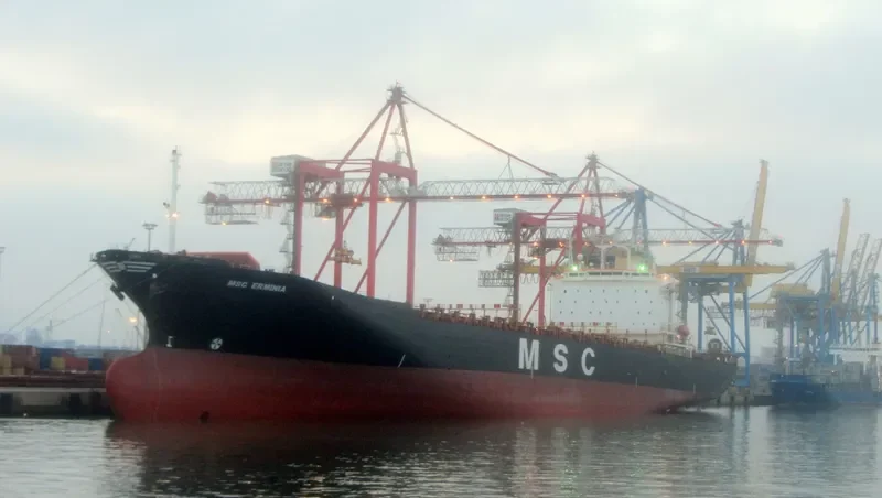 MSC ERMINIA Container Ship IMO 9043756