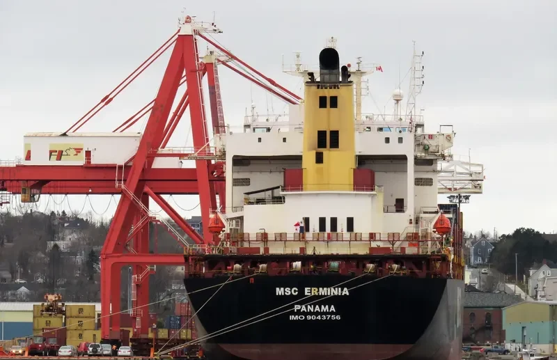 MSC ERMINIA Container Ship IMO 9043756 photo 2