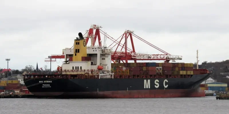 MSC ERMINIA Container Ship IMO 9043756 photo 3