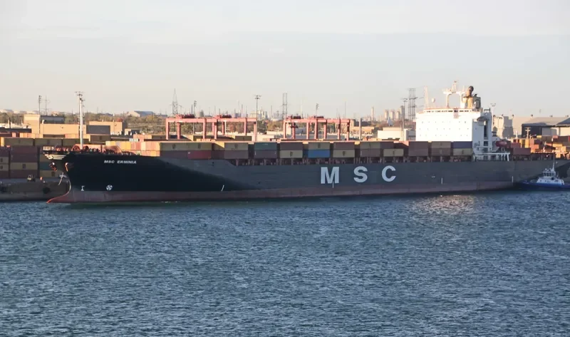 MSC ERMINIA Container Ship IMO 9043756 photo 4