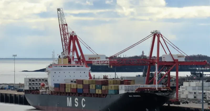 MSC ERMINIA Container Ship IMO 9043756 photo 5