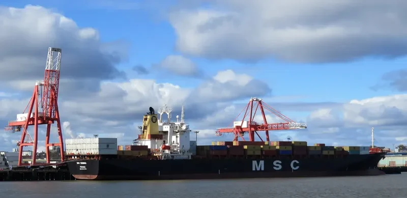 MSC ERMINIA Container Ship IMO 9043756 photo 7