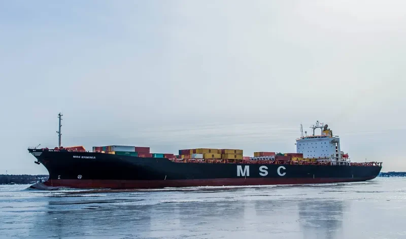 MSC ERMINIA Container Ship IMO 9043756 photo 8