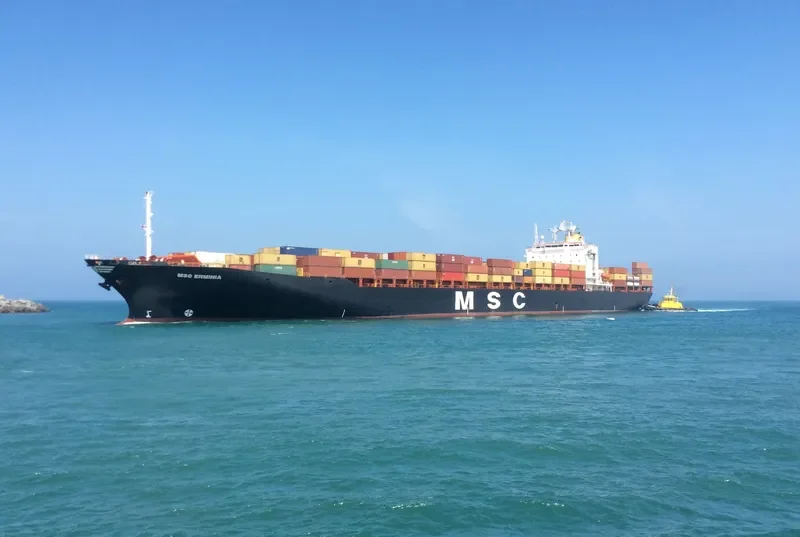 MSC ERMINIA Container Ship IMO 9043756 photo 9