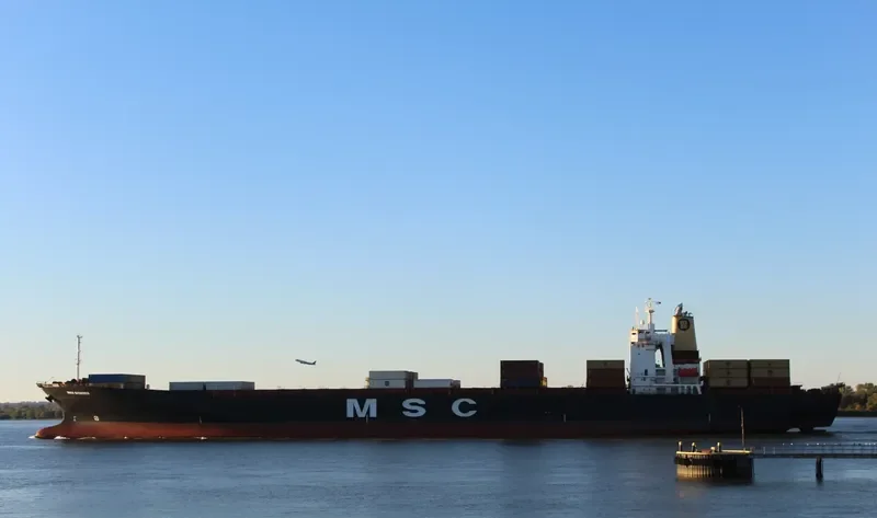 MSC ERMINIA Container Ship IMO 9043756 photo 10