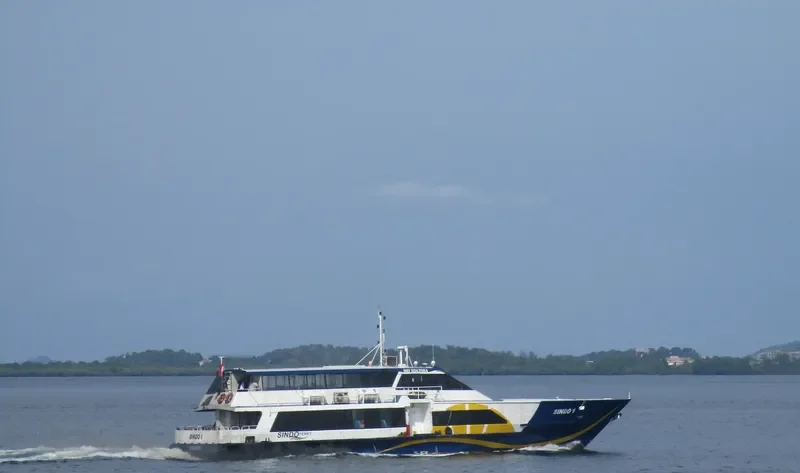 SINDO 1 Passenger Ship IMO 9043964