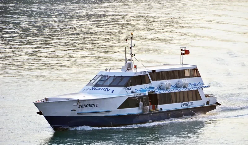 SINDO 1 Passenger Ship IMO 9043964 photo 2
