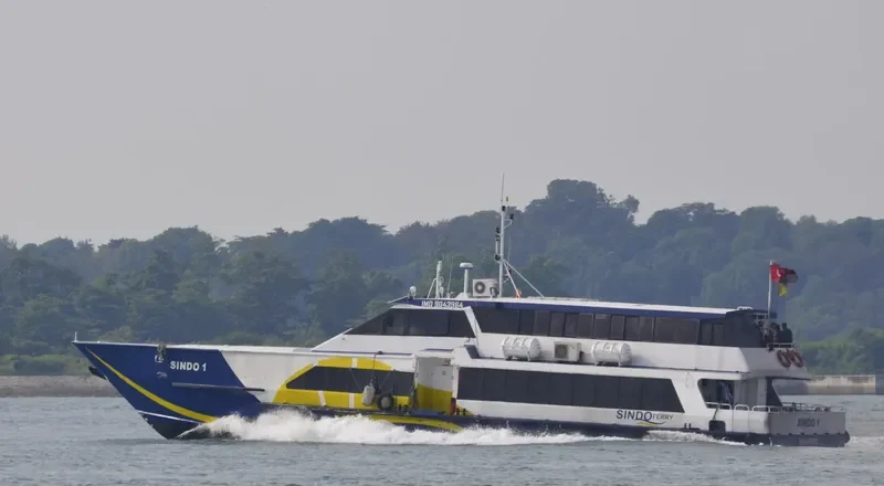 SINDO 1 Passenger Ship IMO 9043964 photo 6