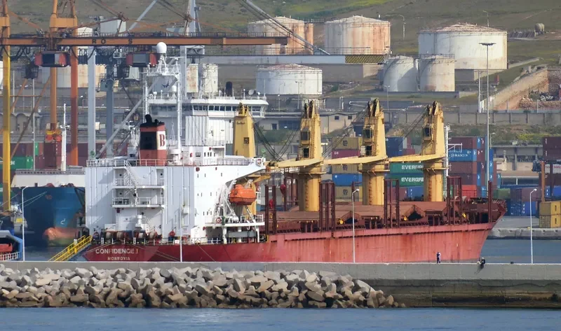 BROTHER 1 Bulk Carrier IMO 9044009