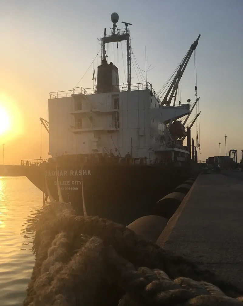 BROTHER 1 Bulk Carrier IMO 9044009 photo 2