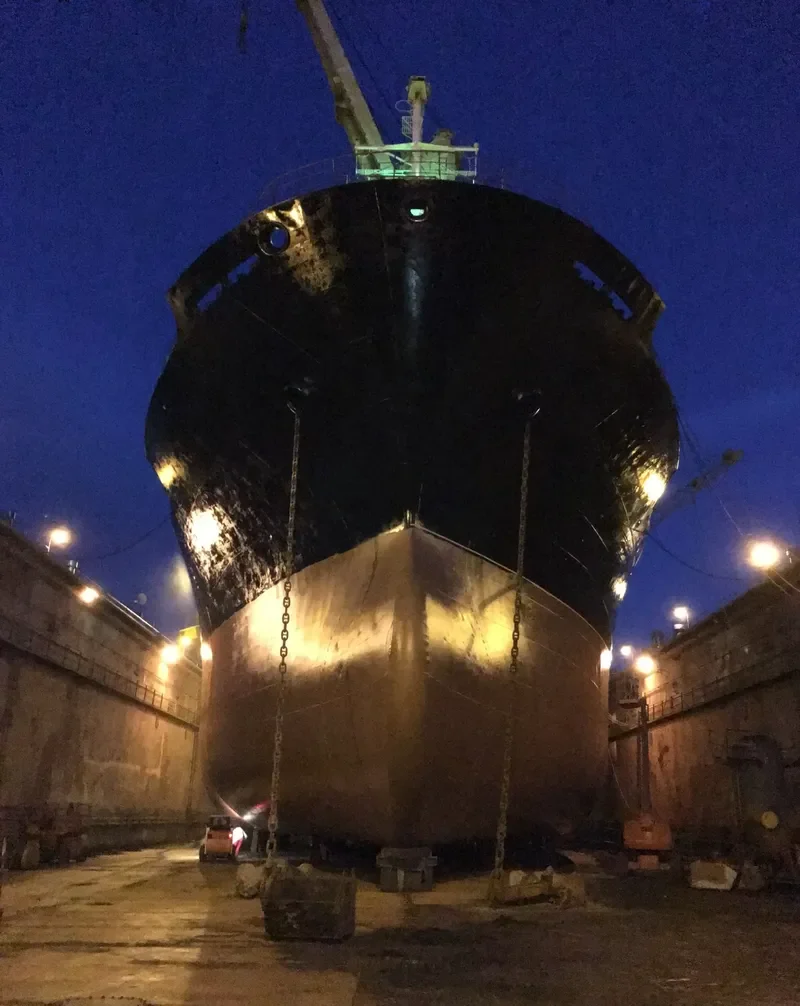 BROTHER 1 Bulk Carrier IMO 9044009 photo 3